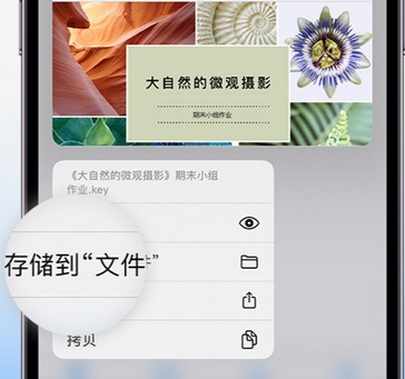 河西apple维修中心分享iPhone文件应用中存储和找到下载文件