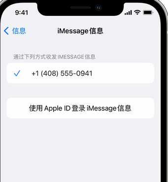 河西apple维修iPhone上无法正常发送iMessage信息 