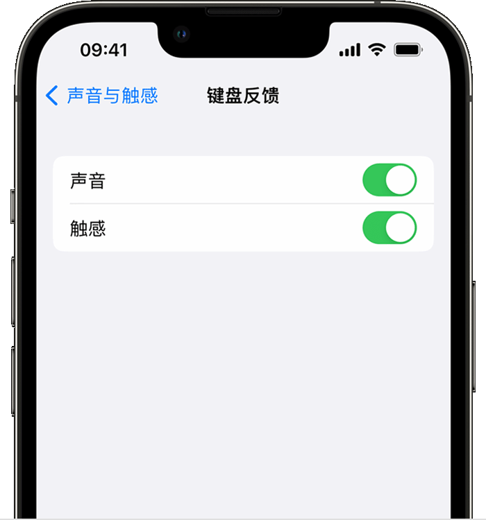 河西苹果14维修店分享如何在 iPhone 14 机型中使用触感键盘 