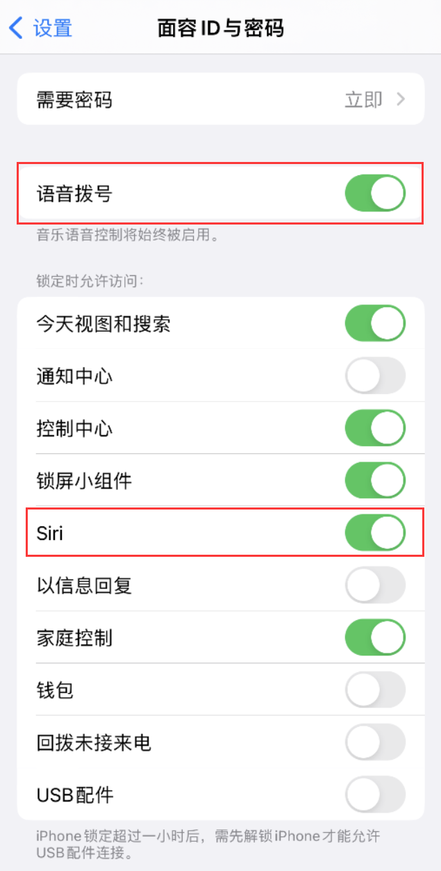 河西苹果维修网点分享不解锁 iPhone 的情况下通过 Siri 拨打电话的方法 