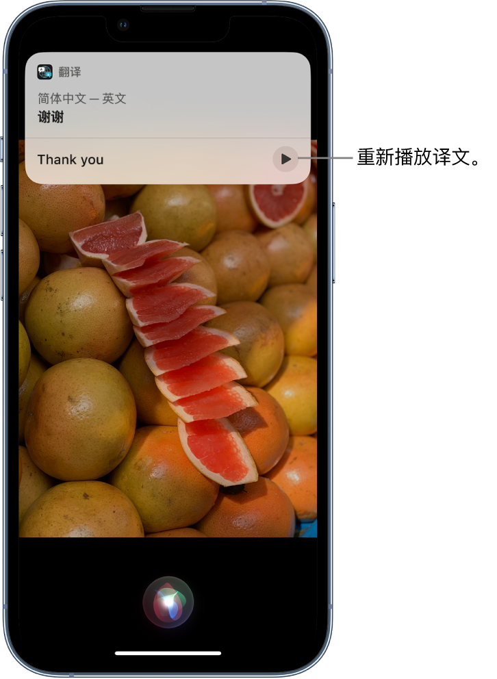 河西苹果14维修分享 iPhone 14 机型中使用 Siri：了解 Siri 能帮你做什么 