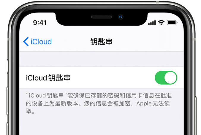 河西苹果手机维修分享在 iPhone 上开启 iCloud 钥匙串之后会储存哪些信息 