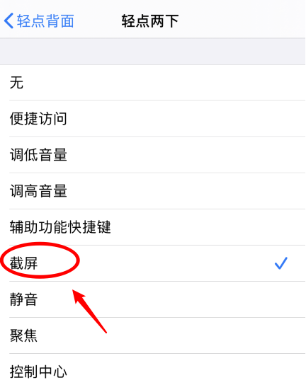 河西苹果手机维修分享iPhone12如何启用双击截屏 