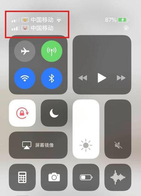 河西苹果手机维修分享为 iPhone 12 双卡设置标签 